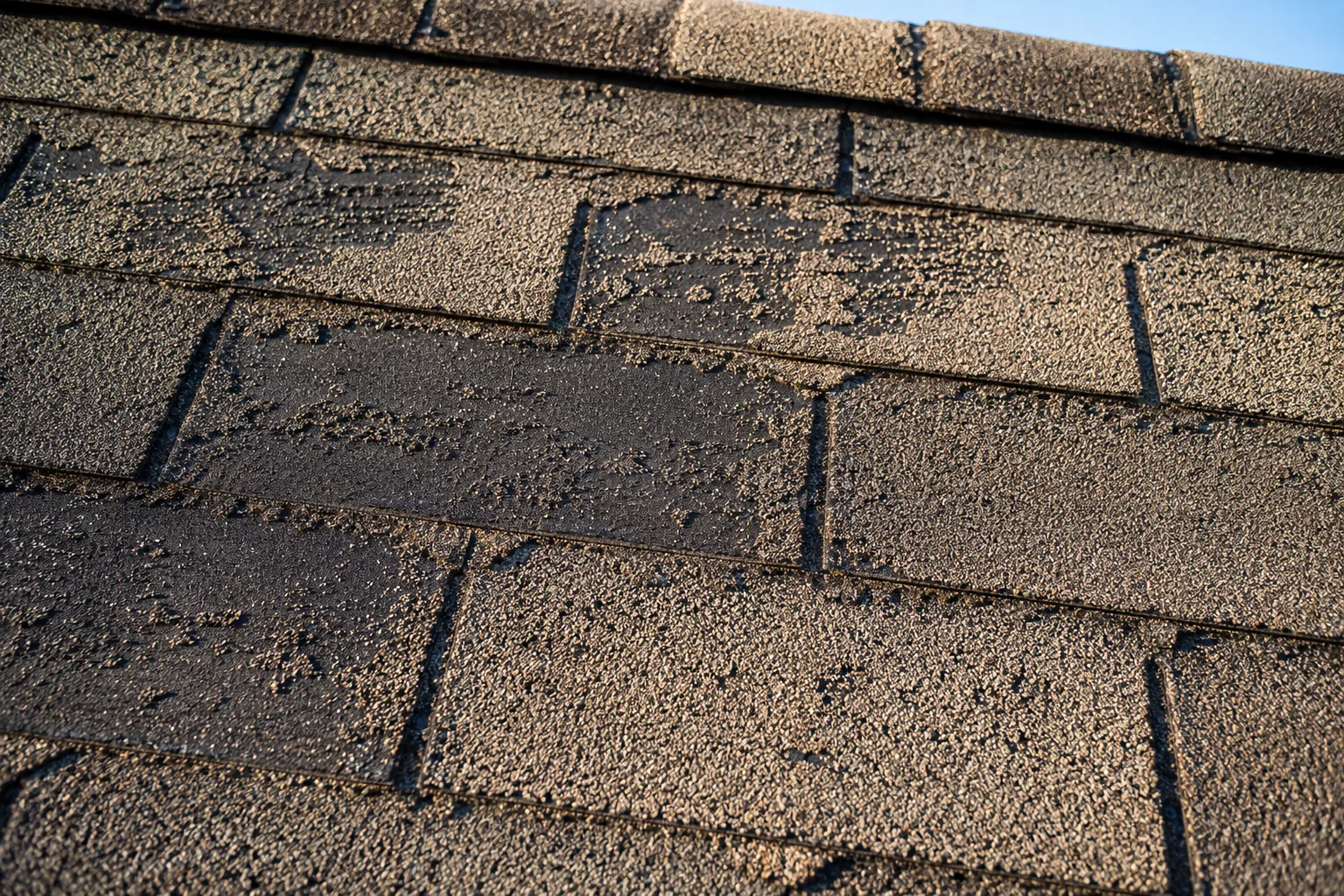 Macro photo of asphalt architectural shingles showing heavy granule loss and exposed asphalt mat