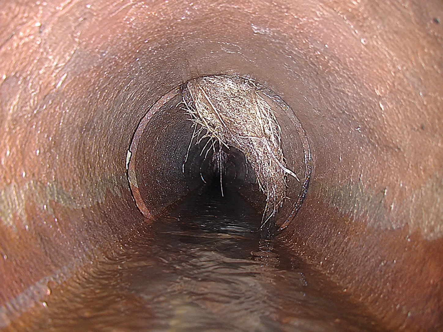 Sewer scope HD camera view from a clay sewer pipe with root intrusion